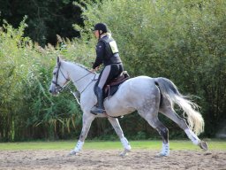 IMG_1600_web